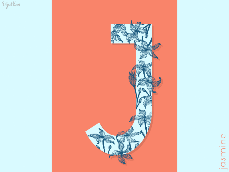 The Letter Series: J drawing illustration alphabet lettering letter typography doodle art design