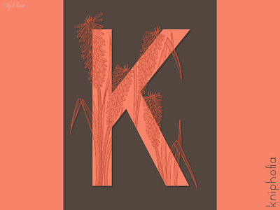 The Letter Series: K alphabet art design doodle drawing illustration letter lettering typography
