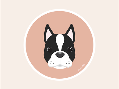 Boston Terrier Icon bostonterrier design dog icon dogs graphicdesign illustration