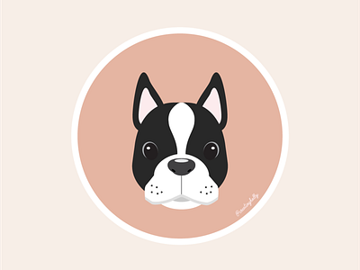 Boston Terrier Icon