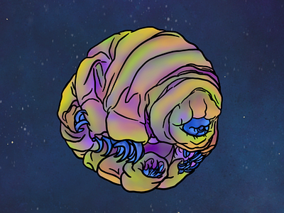 Tardigrade 3/5 space tardigrade