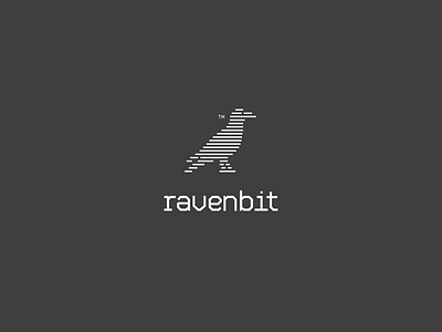 RavenBit animal bit bits coders coding kosovo logo logotype raven smart typography