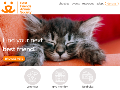 Daily UI Challenge #003: Landing Page daily 100 daily ui 003 daily ui challenge design pet adoption