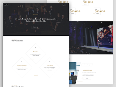 Classy website classy companies company elegant platform redesign sapie simple ui