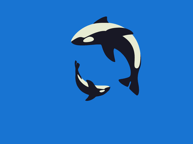 Orca family animation art branding clean design flat gif icon minimal motion simple