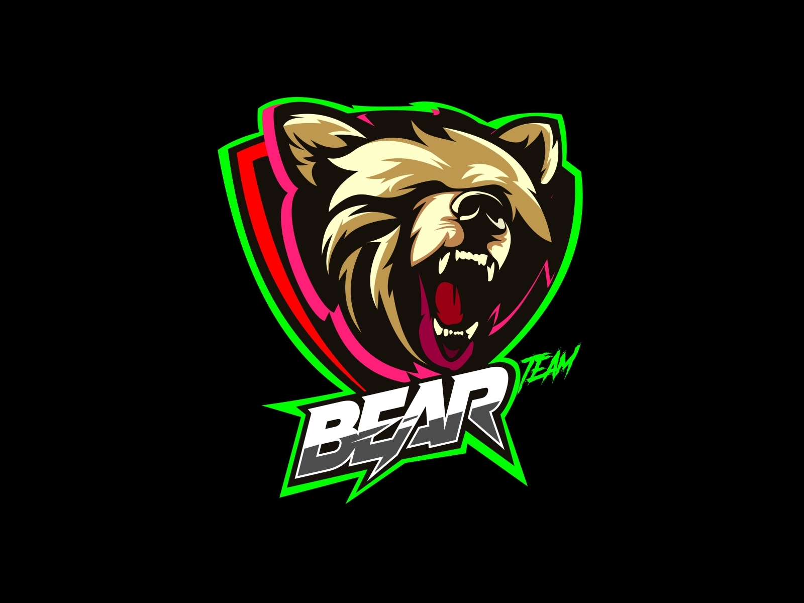 bears team by Andri Dwiyono on Dribbble