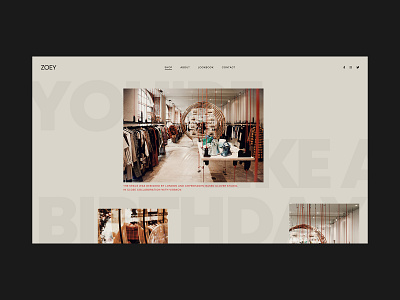 Zoey design designinspirations interface minimalist scandinavian typography ui ux web website