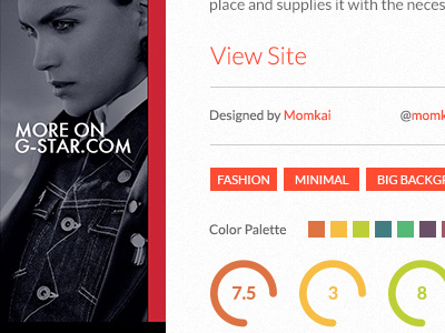 Website Rating Details color palette colour palette details interface piechart rating tags ui website