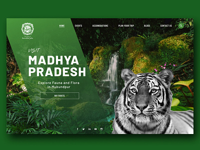 Wildlife Tourism Website app branding design illustrator ui ux web website