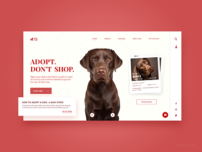 Pet Adoption Website adobe xd adobexd conceptual design doggy dogs dribbble interactive pet adoption pet care pets site ui ui design uiux user interface design web web design website concept website design