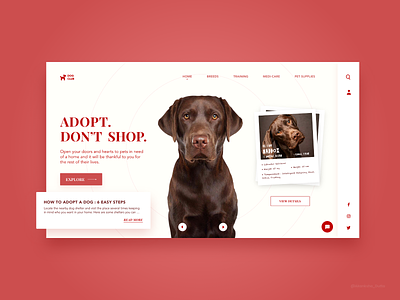 Pet Adoption Website