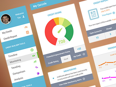 Credit Dashboard app application credit credit score dashboard profile score ui ux web app website