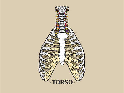 bone torso