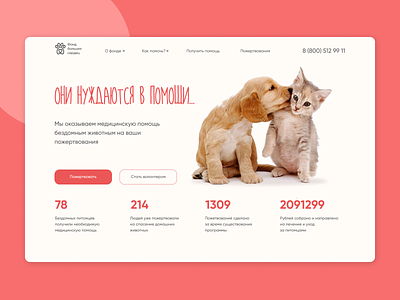 Charity fund for homeless pets cat charity dog pets uiux ux uxdesign webdesign webdesigner website