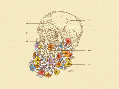 Sneak Peak anatomy beer label flowers illustration skull