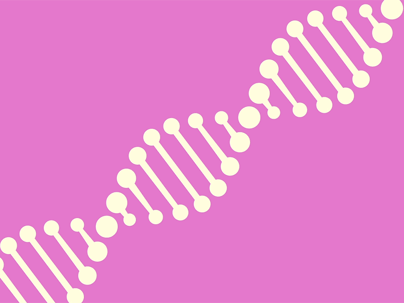 DNA Strain