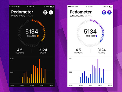 Pedometer for Flyme Map app card flyme health interface map move pedometer record sport ui