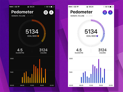 Pedometer for Flyme Map