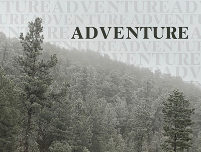 Adventure adventure black hills evergreen trees hunting photo album photo album cover south dakota winter