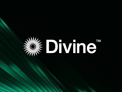 Divine™ - Visual Identity brand branding design graphic design identity inspration logo trend visual