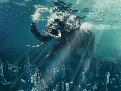 A gentle giant goes for an ocean swim over Manhattan animal animals city collage composition digital manipulation elephant manipulation photography photoshop water