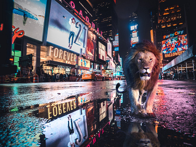 It's A Jungle Out There animal animals collage digital manipulation graphic design image manipulation manipulation new york photoshop
