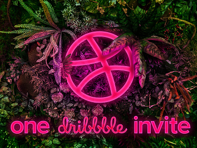 1 Dribbble Invite