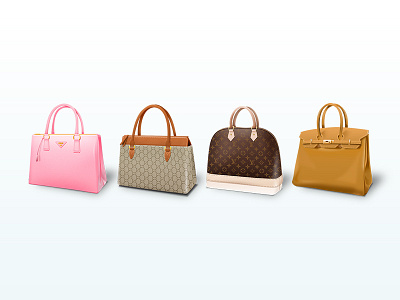 The Bling Ring Icons bag icon luxury