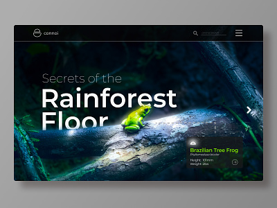 Rainforest Landing Page app branding concept design fullwidth gradient typography ui ux web website