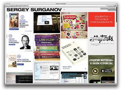 Sergey Surganov's portfolio on tumblr portfolio tumblr web design