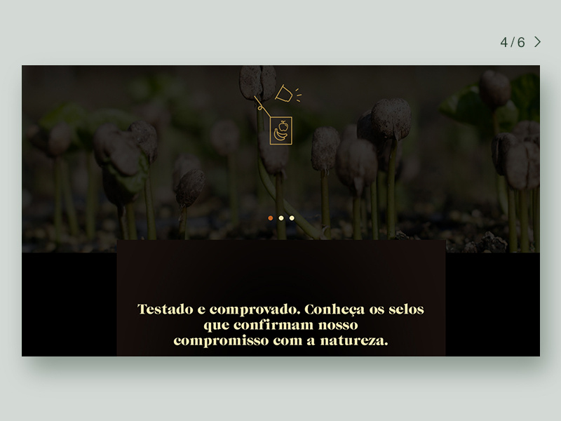 Orfeu Coffee Website ui web website vector ux icon key visual design branding