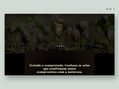Orfeu Coffee Website branding design icon key visual ui ux vector web website