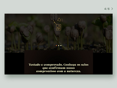 Orfeu Coffee Website