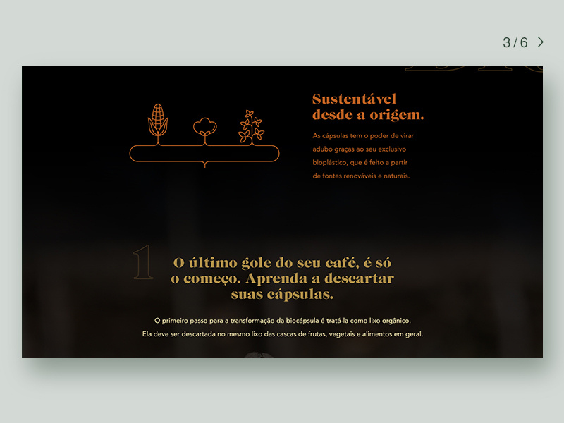 Orfeu Coffee Website ui website web ux icon key visual design branding