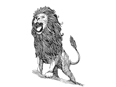 lion line art illustration art artistic black white design flat illustration inking ornament tshirt vector