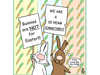 Bunnies are not for Easter