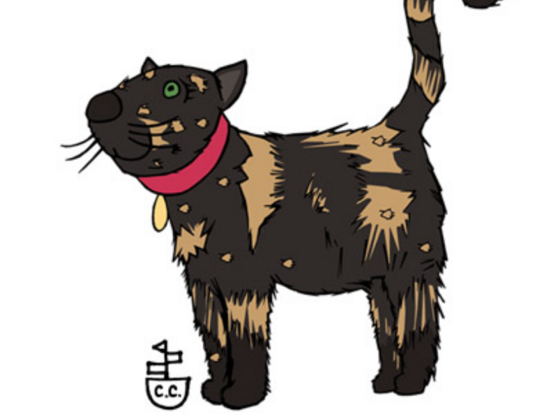 A cat with real personality animal character animal illustration animal art cats character development characters illustrator illustration
