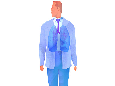 3d illustration of the respiratory system, with watercolor style