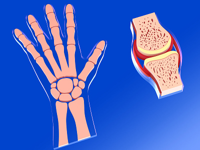 3D illustration of the synovial joint