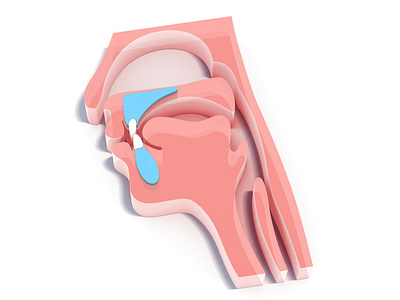 otorhinolaryngology (ENT) 3d illustration 3d branding ent illustration logo medical otorhinolaryngology