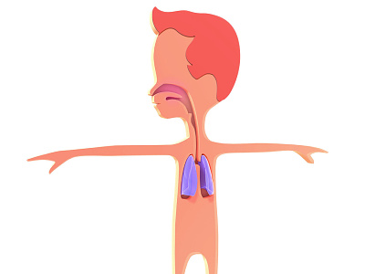 3d boy anatomy showing the respiratory system 3d anatomy caricatura design illustration logo medical toon