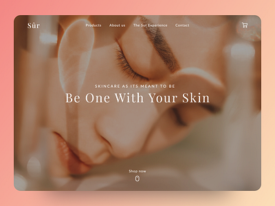 Sur - Website Concept design ui web