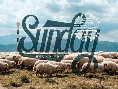 Sunday Round Up badge design blue branding cattle farm hand type handlettering lettering sheep sky typography