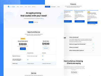 SolveCube Website - Pricing Page