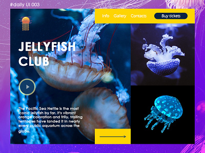 Jellyfish dailyui dailyui 003 design jellyfish ui web