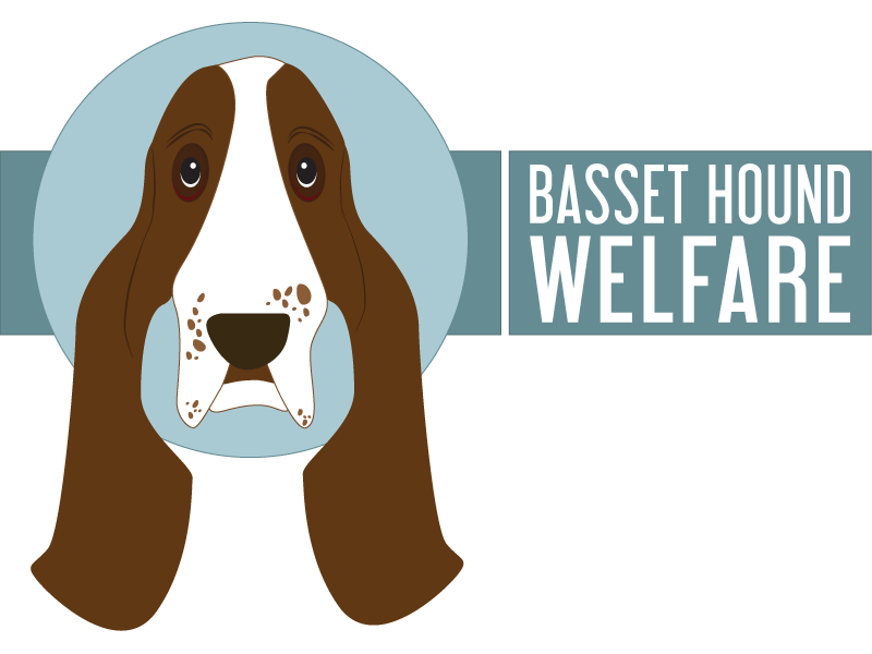 Basset Hound Welfare Concept Logo basset hound logo design