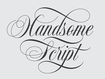 Handsome Script design flourishes font handsome script lettering ligatures script typography