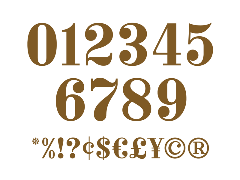 When words just won't cut it. collection font heavy lettering numbers numerals save script serif typeface