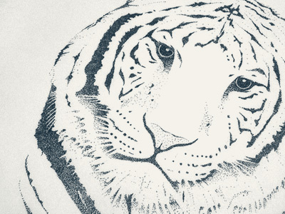 Tiger animal beast design drawing illustration illustrator ink paper pen sevenly sketch stipple stippling tiger