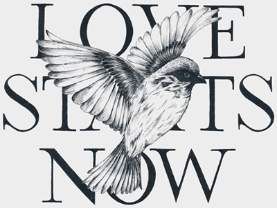 Love Starts Now Bird Design bird design feathers flight illustration lettering love paper pen serif sevenly sparrow typography wings